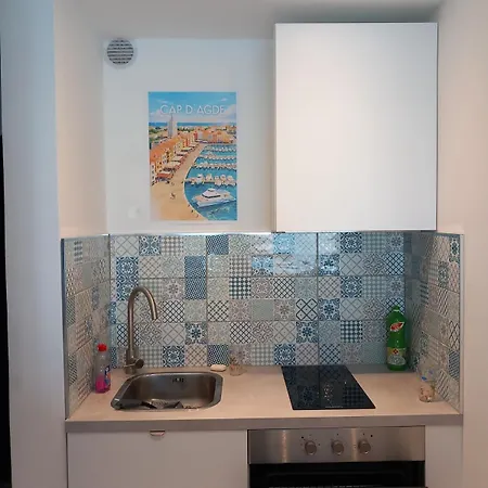 Petite Marina, Terrasse, Veranda, Pied Dans L'eau Агд